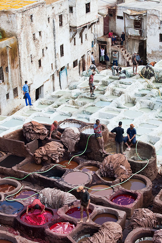  The tanneries of Fez   Morocco